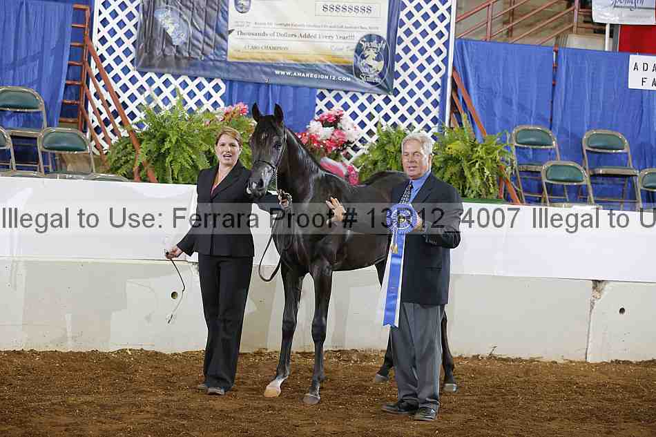 Proof 13r12_4007
