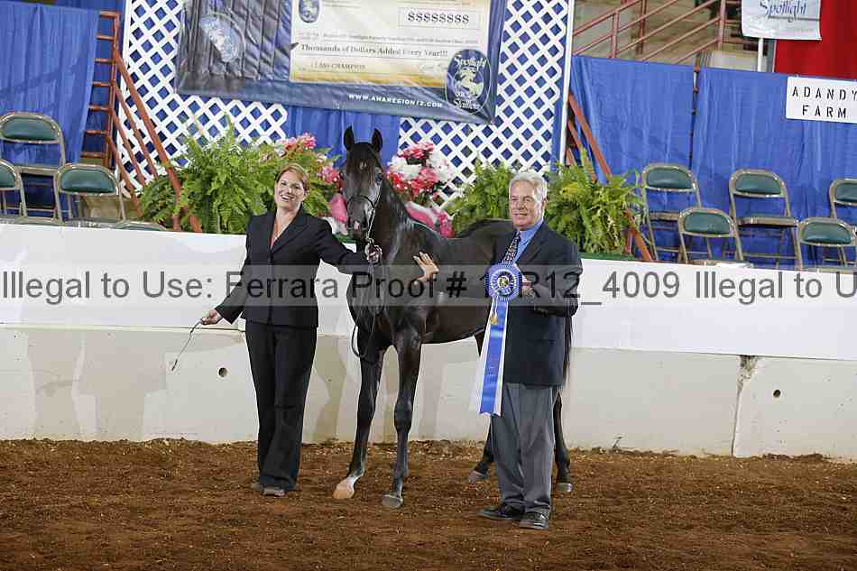 Proof 13r12_4009