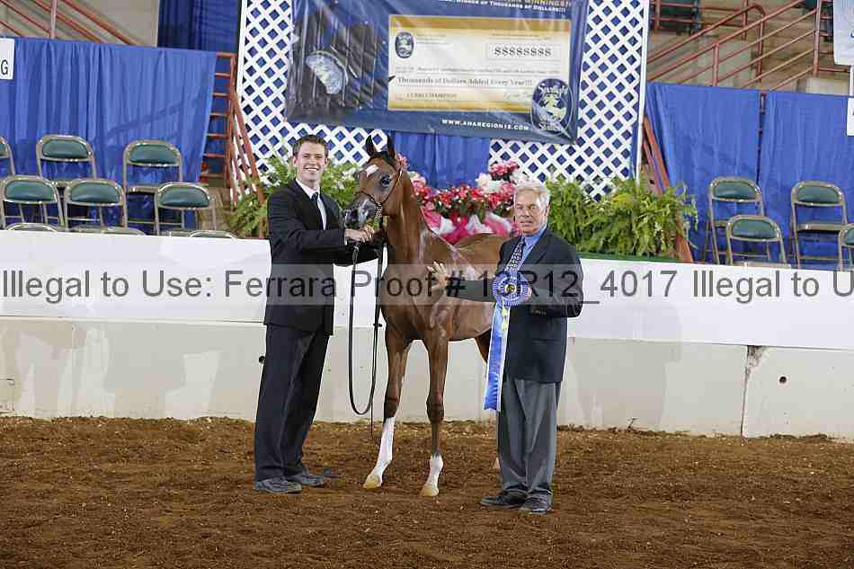Proof 13r12_4017