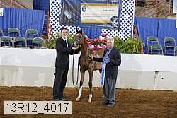 13r12_4017 proof