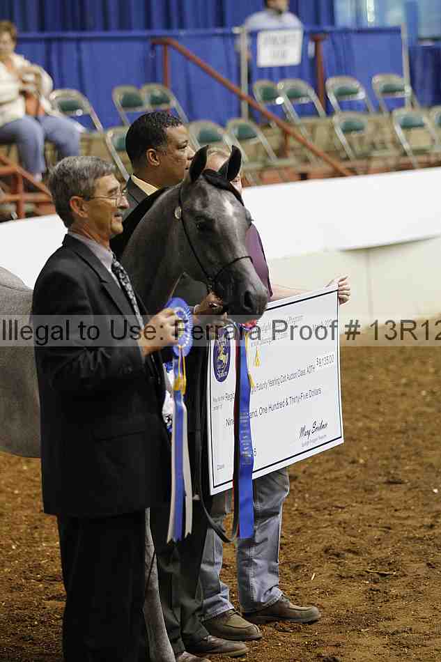 Proof 13r12_4024