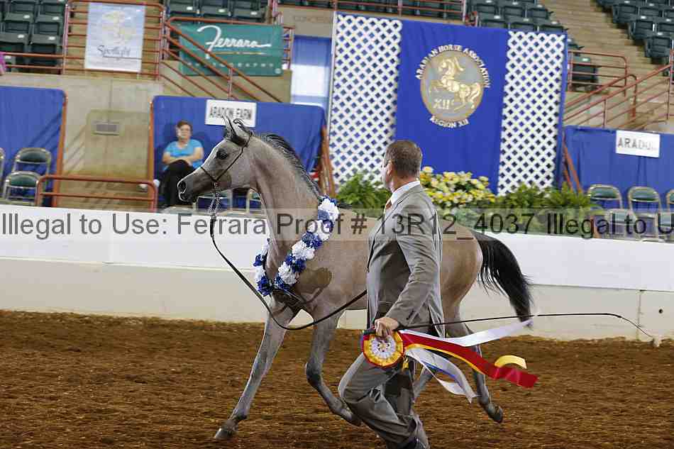 Proof 13r12_4037