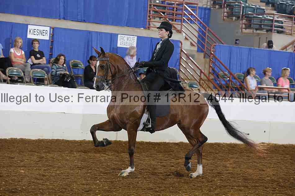 Proof 13r12_4044