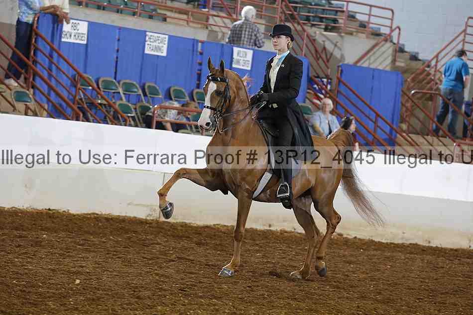 Proof 13r12_4045