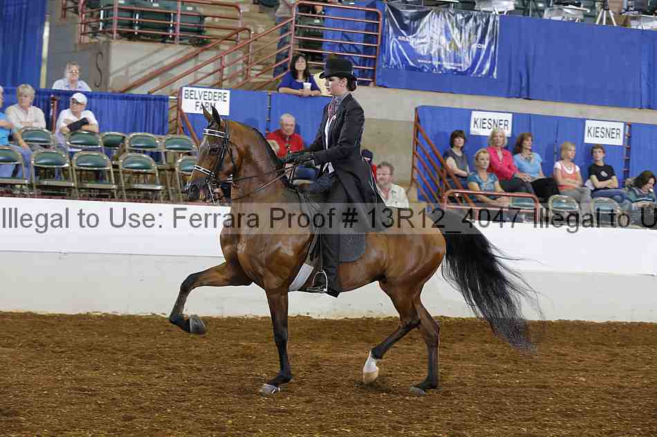 Proof 13r12_4047