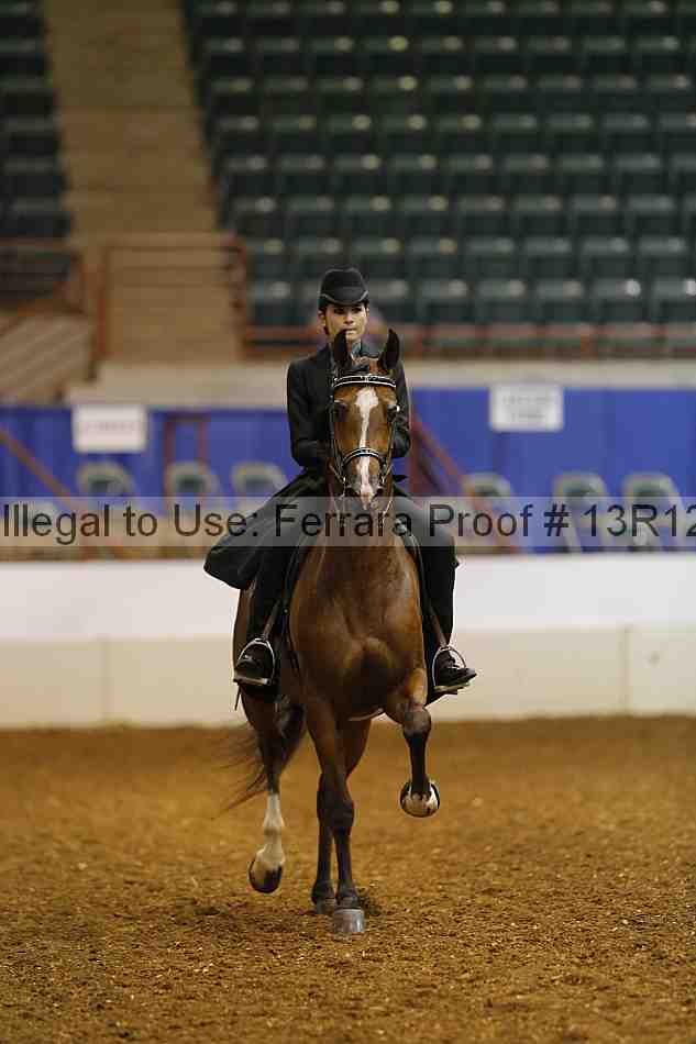 Proof 13r12_4050