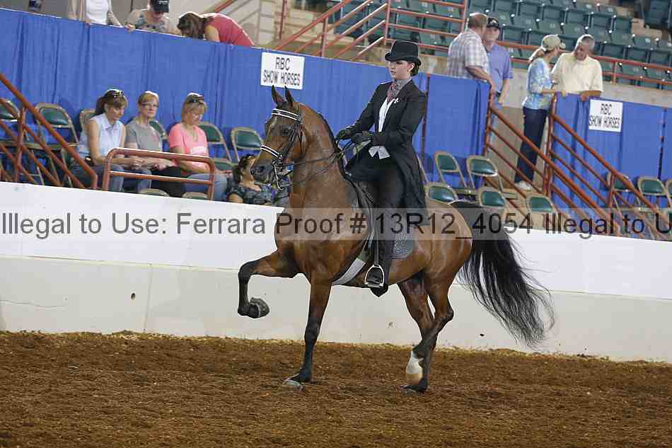 Proof 13r12_4054