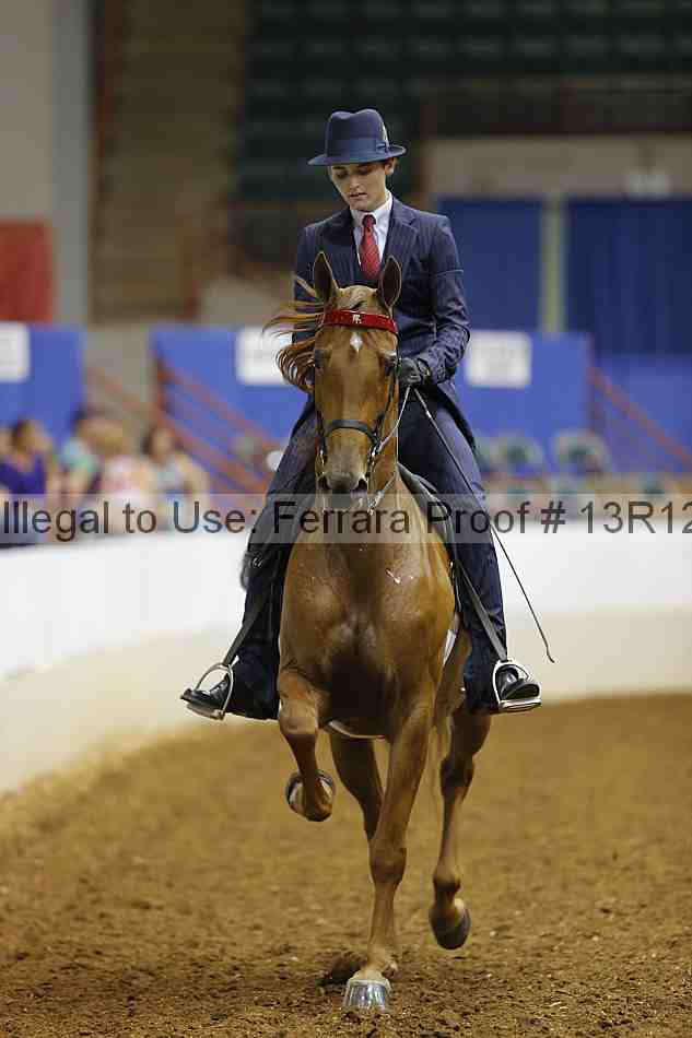 Proof 13r12_4055