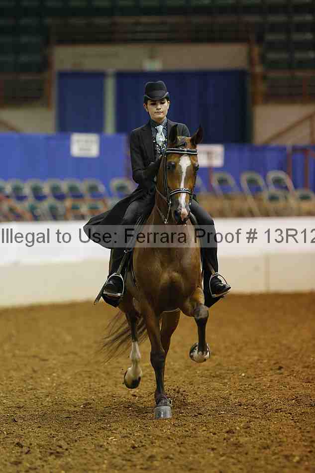 Proof 13r12_4059