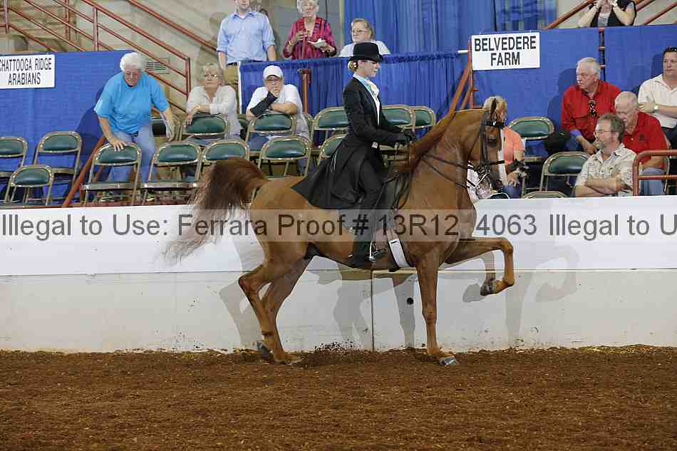 Proof 13r12_4063