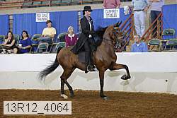 13r12_4064 proof