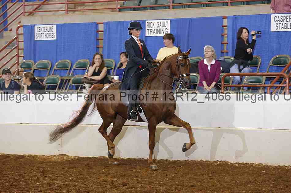 Proof 13r12_4066