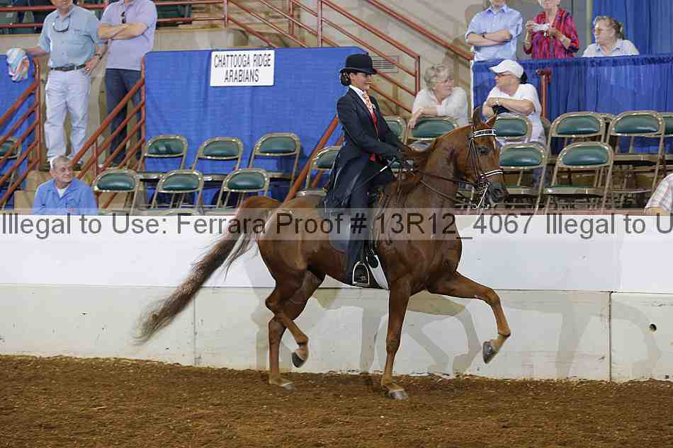 Proof 13r12_4067