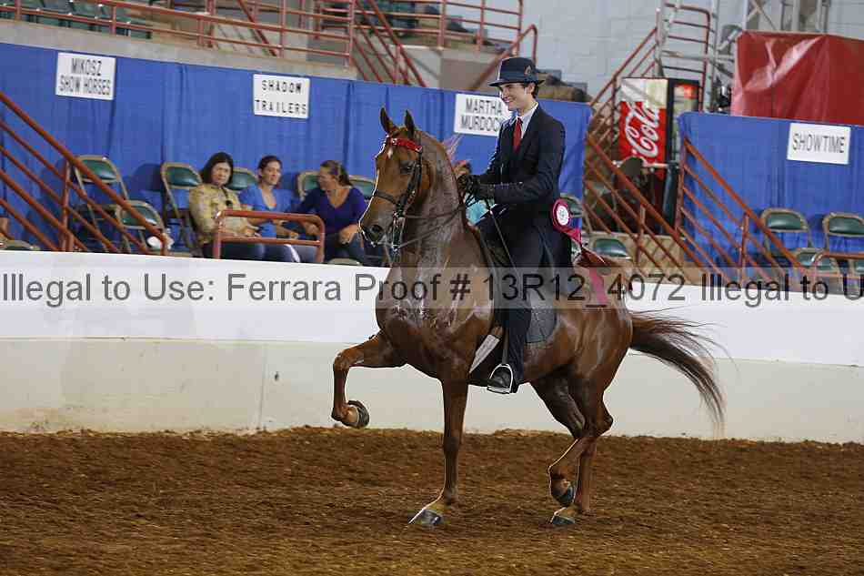 Proof 13r12_4072