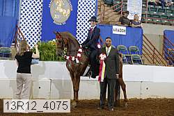 13r12_4075 proof