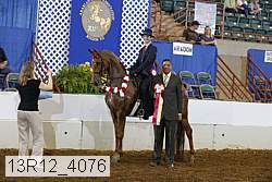 13r12_4076 proof