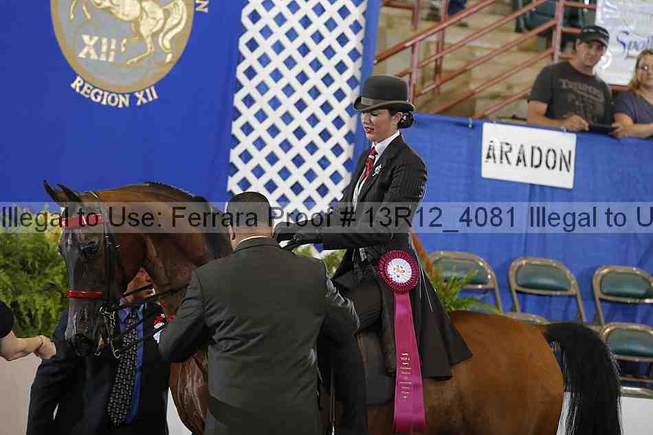 Proof 13r12_4081