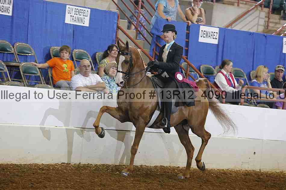 Proof 13r12_4090
