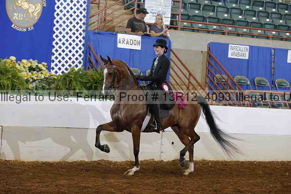 Proof 13r12_4093