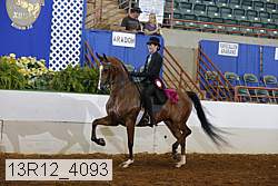 13r12_4093 proof
