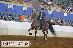 13r12_4098 proof