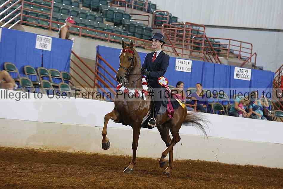 Proof 13r12_4099