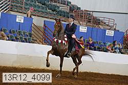13r12_4099 proof