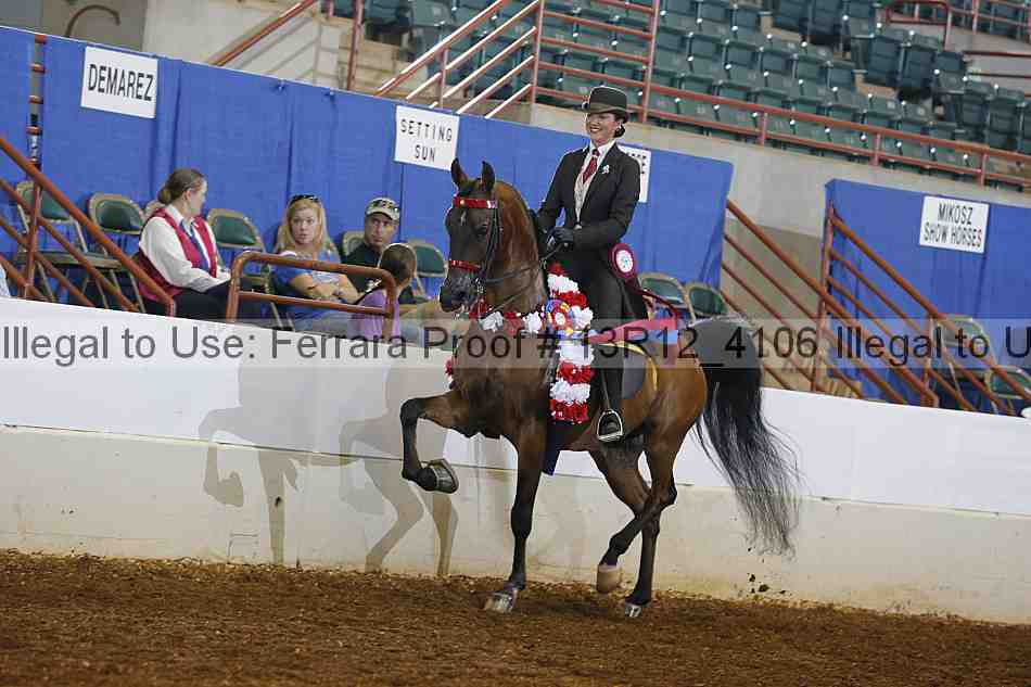 Proof 13r12_4106