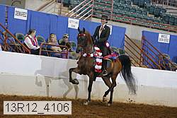 13r12_4106 proof