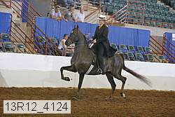 13r12_4124 proof