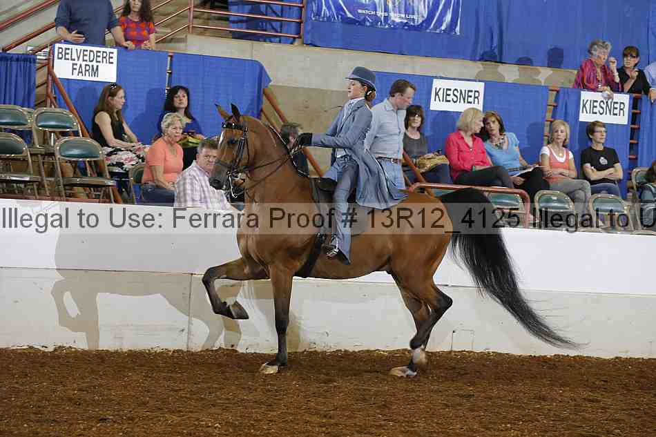 Proof 13r12_4125