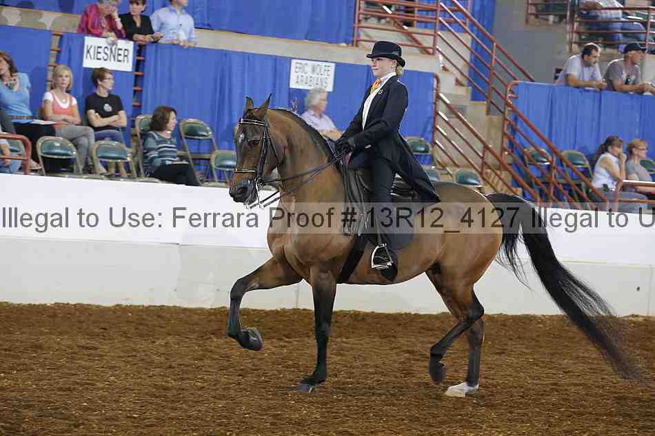 Proof 13r12_4127