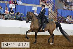 13r12_4127 proof