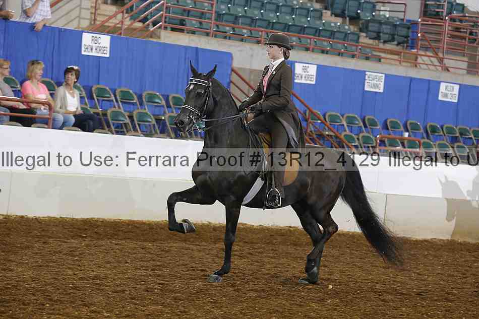Proof 13r12_4129
