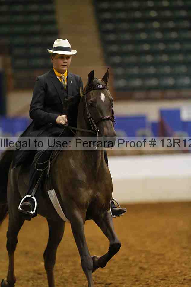Proof 13r12_4131