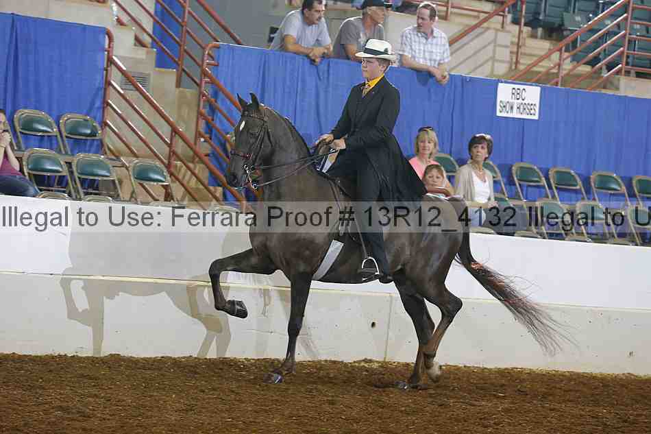 Proof 13r12_4132