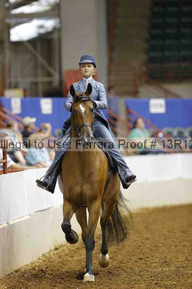 Proof 13r12_4134