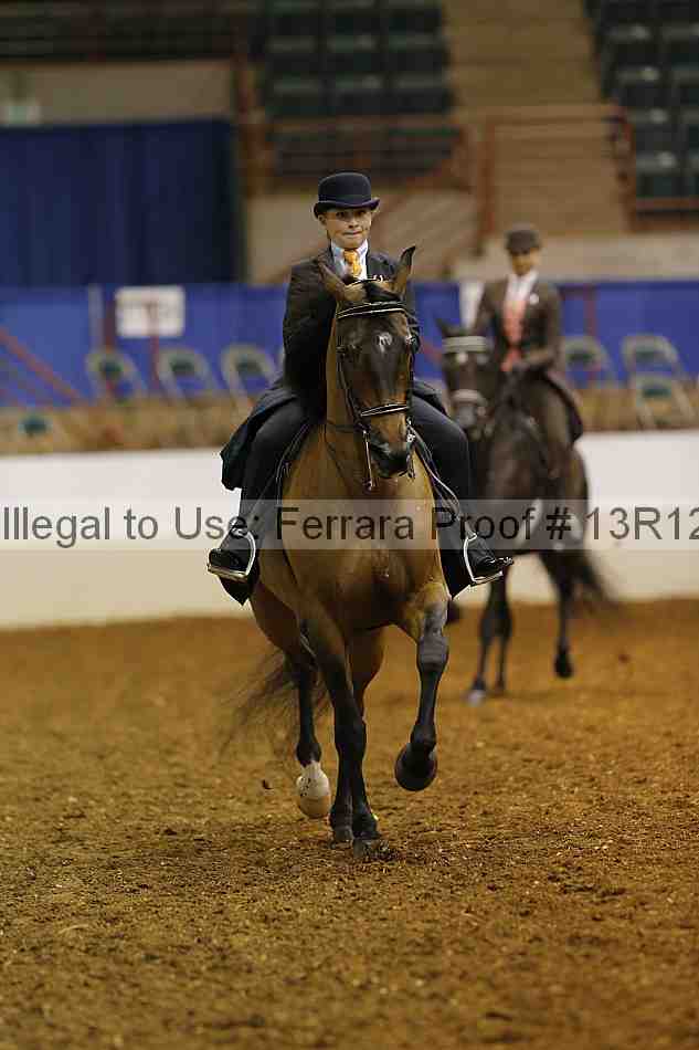 Proof 13r12_4135