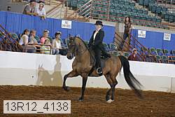 13r12_4138 proof