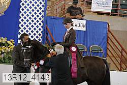 13r12_4143 proof