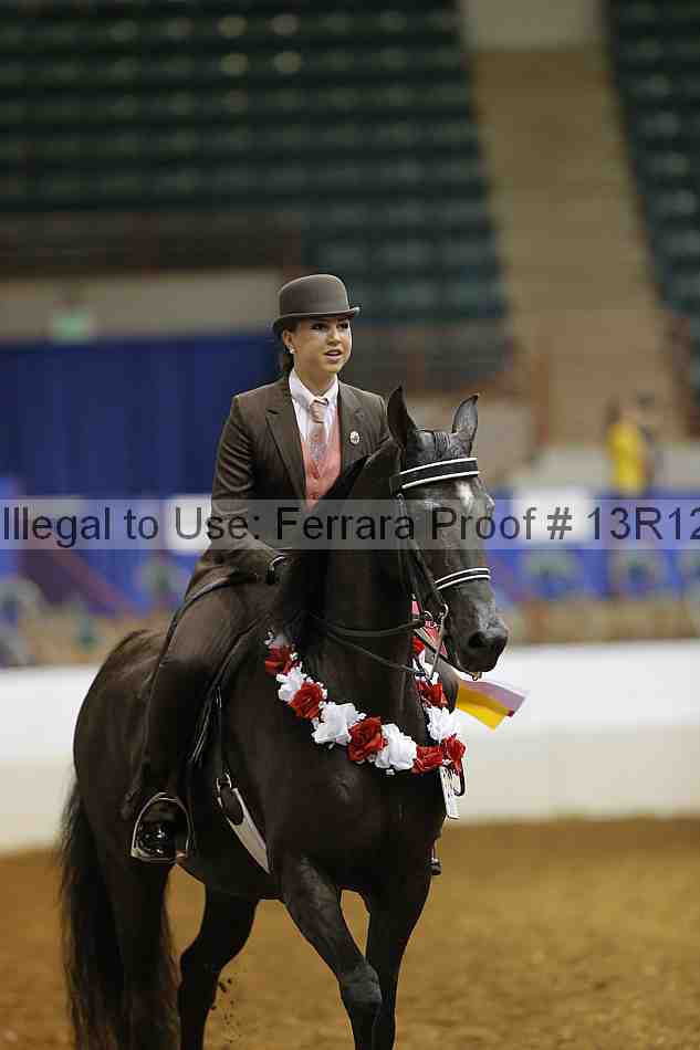 Proof 13r12_4151