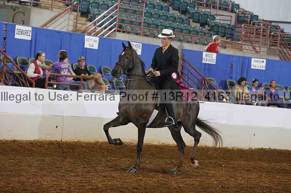 Proof 13r12_4163