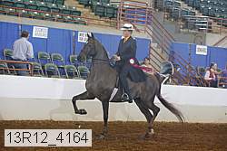 13r12_4164 proof