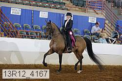 13r12_4167 proof