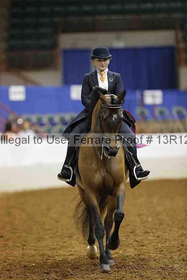 Proof 13r12_4169