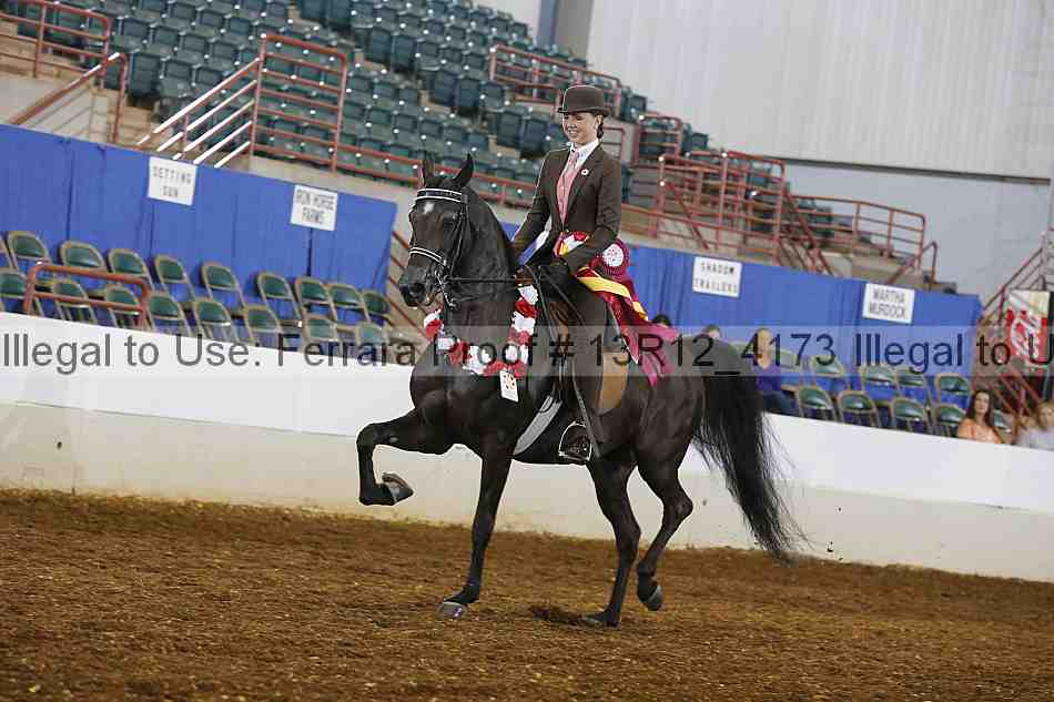 Proof 13r12_4173