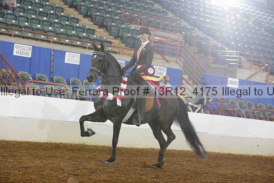 Proof 13r12_4175