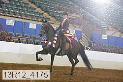 13r12_4175 proof