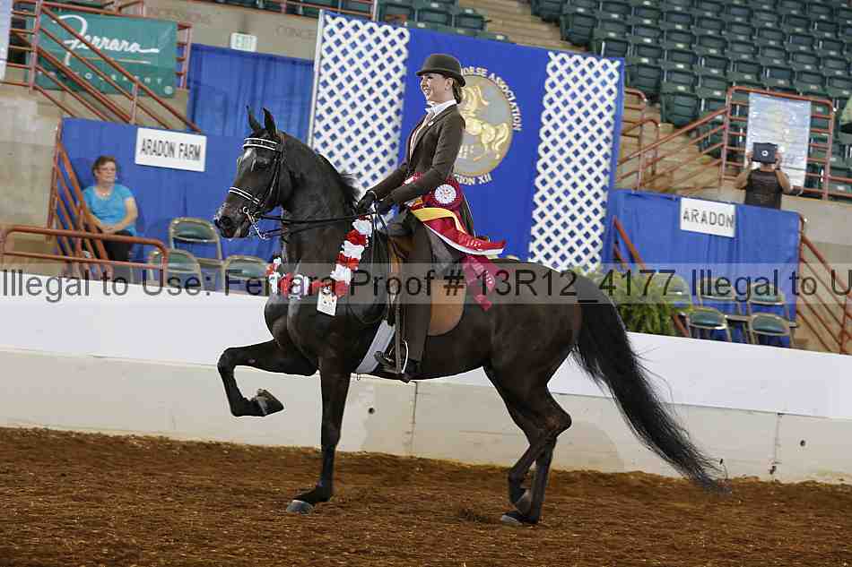 Proof 13r12_4177