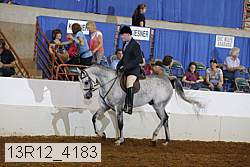 13r12_4183 proof
